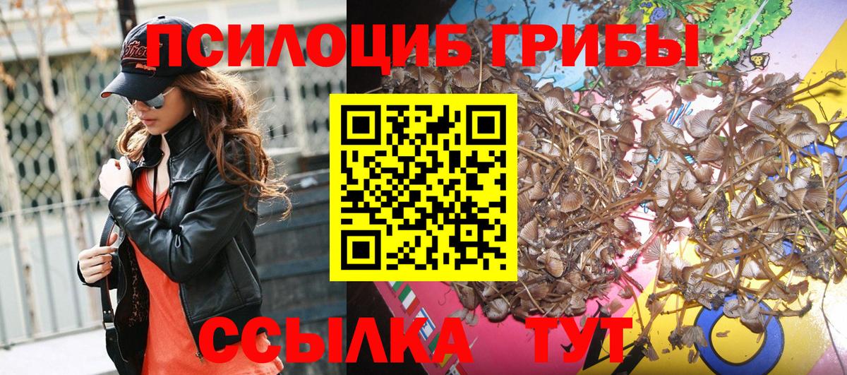 Галлюциногенные грибы Magic Shrooms Саяногорск