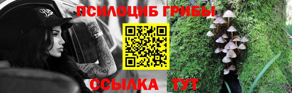 Саяногорск  Галлюциногенные грибы ЛСД  купить закладку  Вход с VPN 